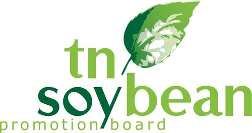 logo-main